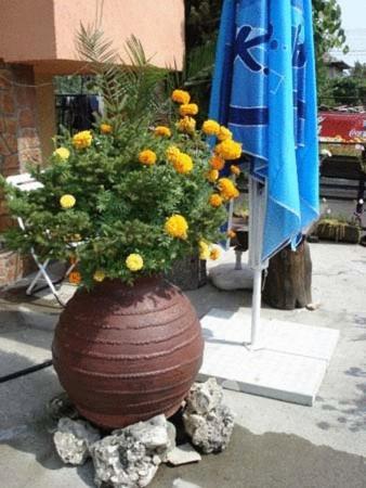 Mavrikova Kushta Bansko Exterior foto